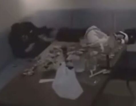 Screenshot 2025-09-27 at 3.35.31 PM